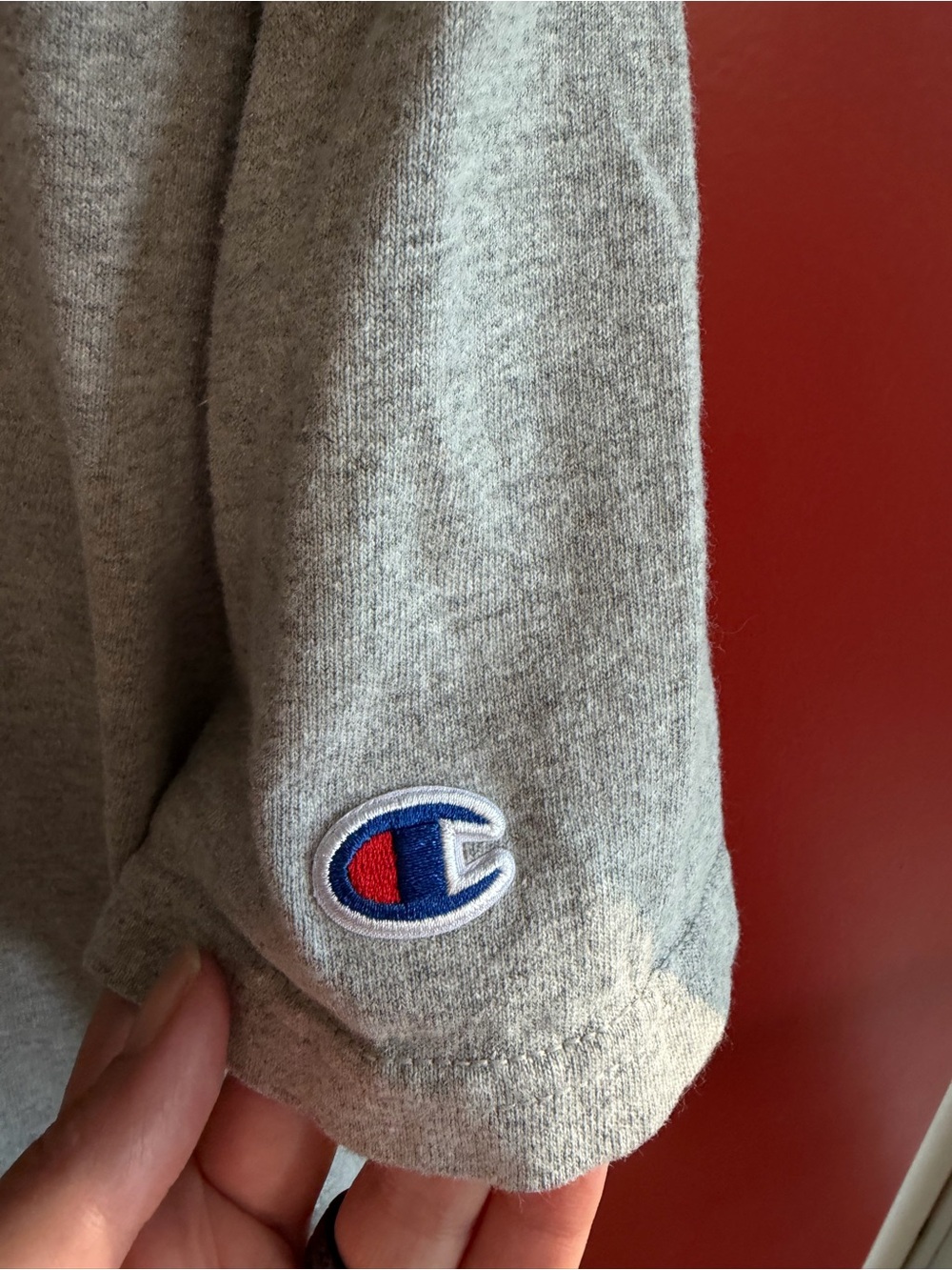 Champion Gray Short-Sleeve Tee with Small Red Embroidered Logo - Picture 4 of 8